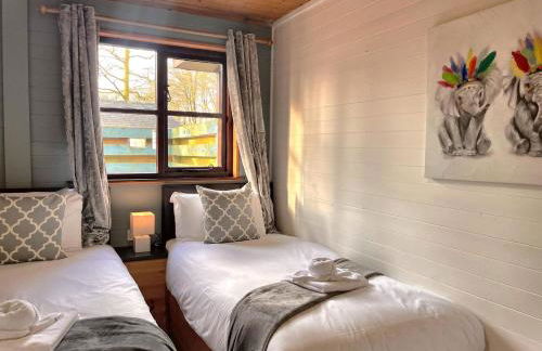 Goldcrest 1-Hot Tub-Woodland Lodges-Carmarthenshire-Tenby - Photo 3