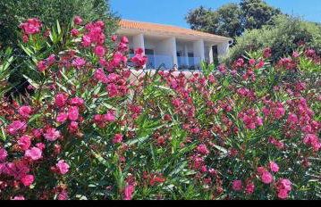 House on the beach - Foto 2