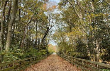 Modern and Comfy-2BR 2BA with pool access - ground floor, Near Outlets & Beaches - Foto 47