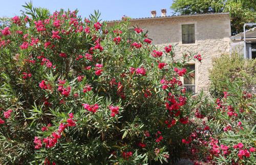 Château de Livière - Photo 13