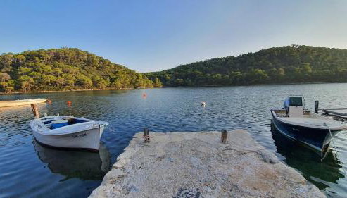 Apartmani Pjevalo-Mljet - Foto 4