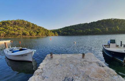 Apartmani Pjevalo-Mljet - Photo 4