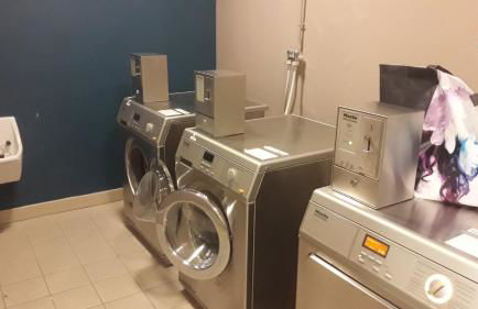 Fleurs des Alpes - Foto 15