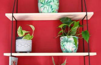 The Writer's Studio (stylish garden guesthouse) - Foto 49