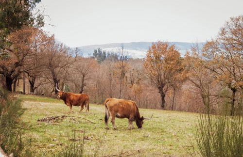 Casa da Eira de Santo Amaro - Foto 16