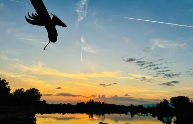 Shimmering Serenity in Pastrengo - Photo 31