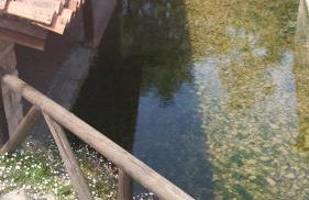 Posada Santa Eulalia - Foto 11