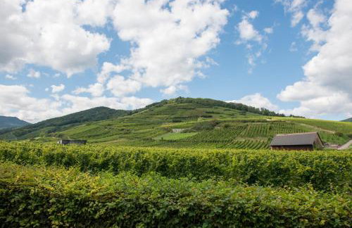 La Maison Jaune - Foto 30