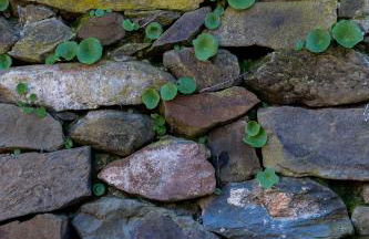 Casa de las Letrinas Baja, 2 Habt 5 más 1 Pers max chimenea con horno - Foto 57