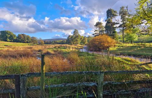Colleton Cottage at Lovelady Shield - Foto 40