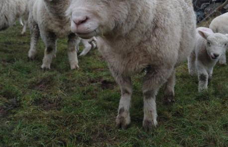 Kims Retreat - Foto 33