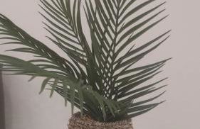 Casa CATALUÑA 14 - Foto 32