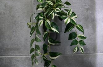 Casa Velha de Vila Nova - Foto 34