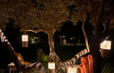 Calanave 10 - Foto 41