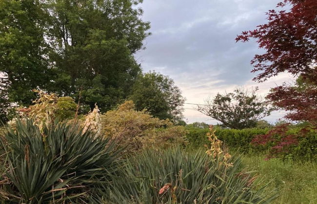 Apartment in Cuzy With Heated Pool - Photo 36