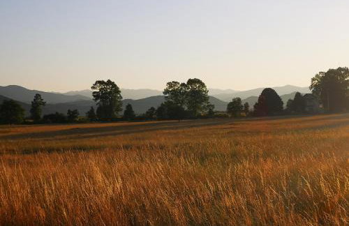 Haus Martha - Foto 38