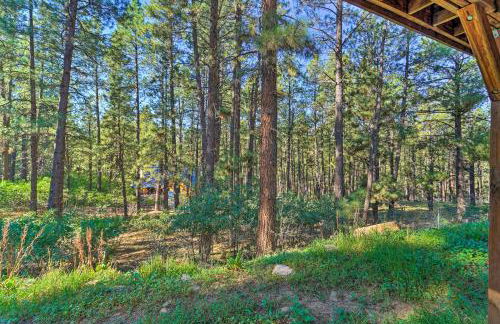 Lazy Bear Den about 9 Mi to Vallecito Reservoir - Foto 27