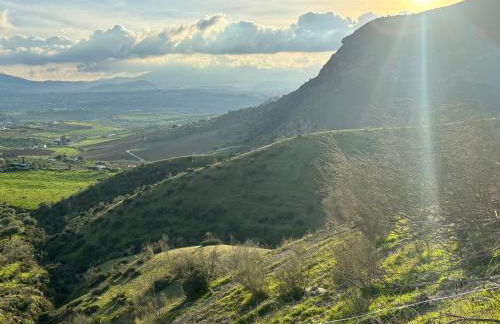 Mount Tatum - Foto 16