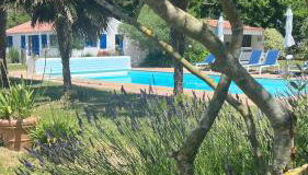 Gîtes de charme "l'écrin de Vendée" jacuzzi privatif, piscine chauffée, prestations bien être, vélos à 10 mn de l'océan sur 3,5 h de verdure - Photo 5