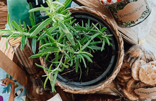 Chalet Alpin Comfortable Holiday Residence - Photo 35