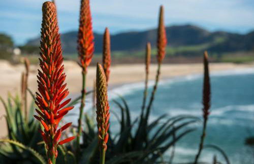 3956 La Casa de Estrella Marie home - Foto 31