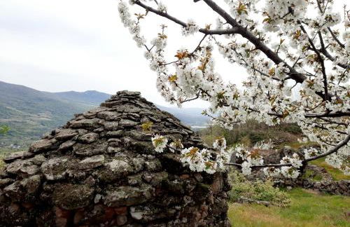 Apartamento Rural Amaluna - Foto 33