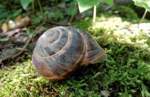 Appartamento con vista sul Cimone - Foto 59