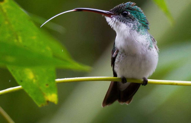 Mindo Day Trip - Photo 1