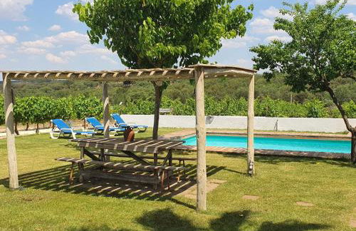 Monte das Aranhas - Foto 6