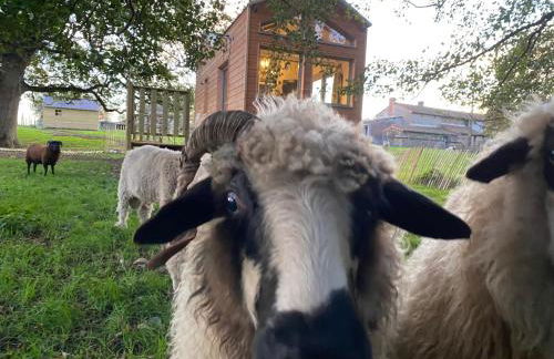 Jolie Tiny House sous les Grands Arbres - Photo 23