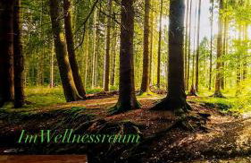 Katersuite - Foto 15