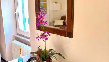 Casa di Olli - Foto 4