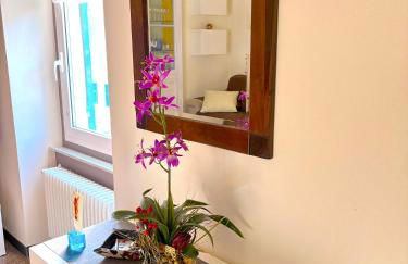 Casa di Olli - Foto 4