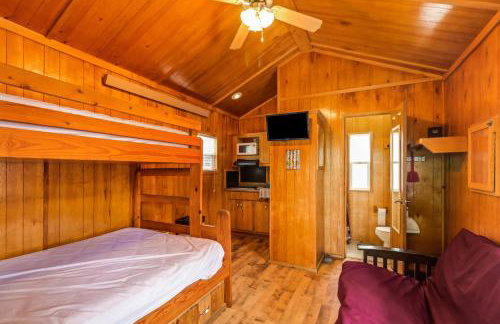 Jellystone Mammoth Cave - Foto 21