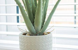 Pine Trees - 4 bed home in The Witterings - Foto 26