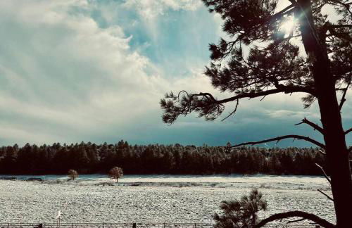 Penthouse Suite at Meadow View! - Foto 19