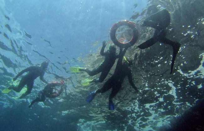 Snorkeling dans les îles Medes - Photo 4