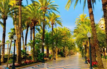 Casas349h Alicante Centre First Floor - Photo 32