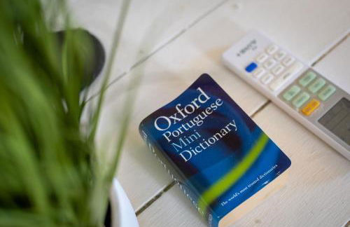 Ocean Garden, 4 units by the ocean - Foto 79