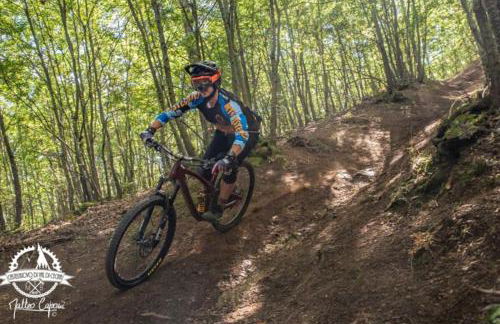 I Castagnini - Foto 33