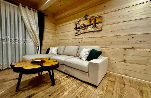 Góralska Osada Tatra House z jacuzzi - Foto 17