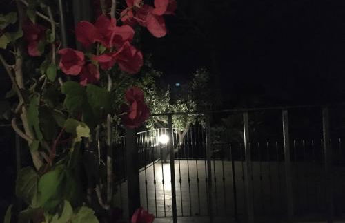 Riserva Ancelle - Foto 44