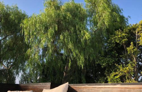 Venice Beach Rooftop House with Parking steps to beach - 30 days or longer rental - Foto 34