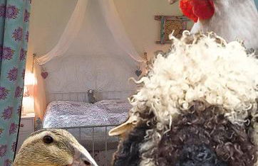 Ferienhaus mit Minibauernhof - Photo 1