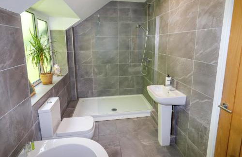 Bryn Golau - Foto 22