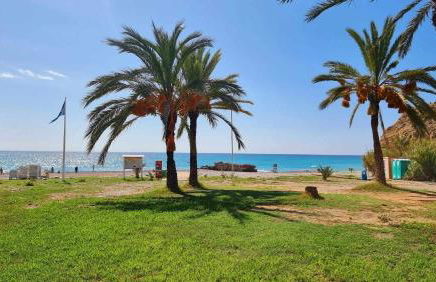 Sol Mediterráneo - Palm Beach 2 - Photo 37