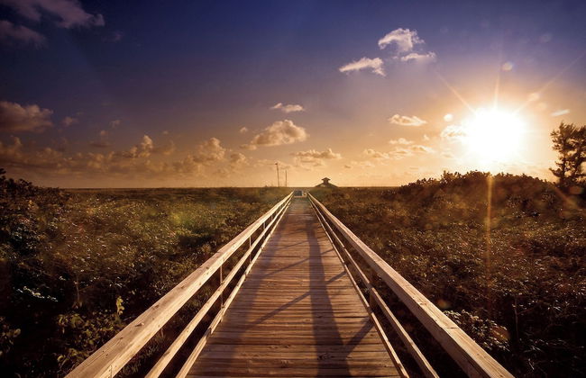 Palm Beach Shores Resort and Vacation Villas - Foto 27