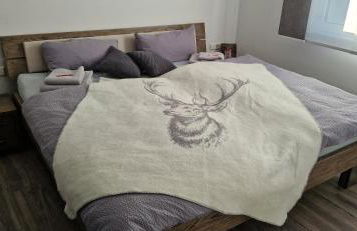 Haus Ludwig - Foto 19