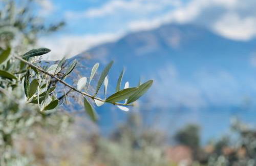 APARTMENT RIVA Lenno - Foto 14