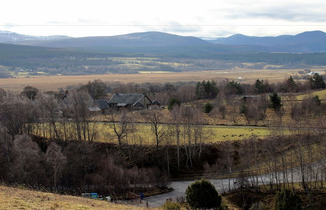 Shetland Cottage - Foto 32
